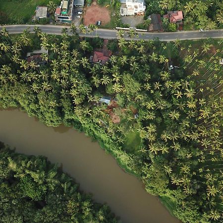 Paddyfield Inn Mananthavady Dış mekan fotoğraf