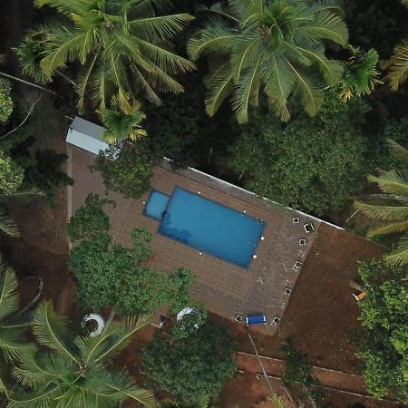 Paddyfield Inn Mananthavady Dış mekan fotoğraf