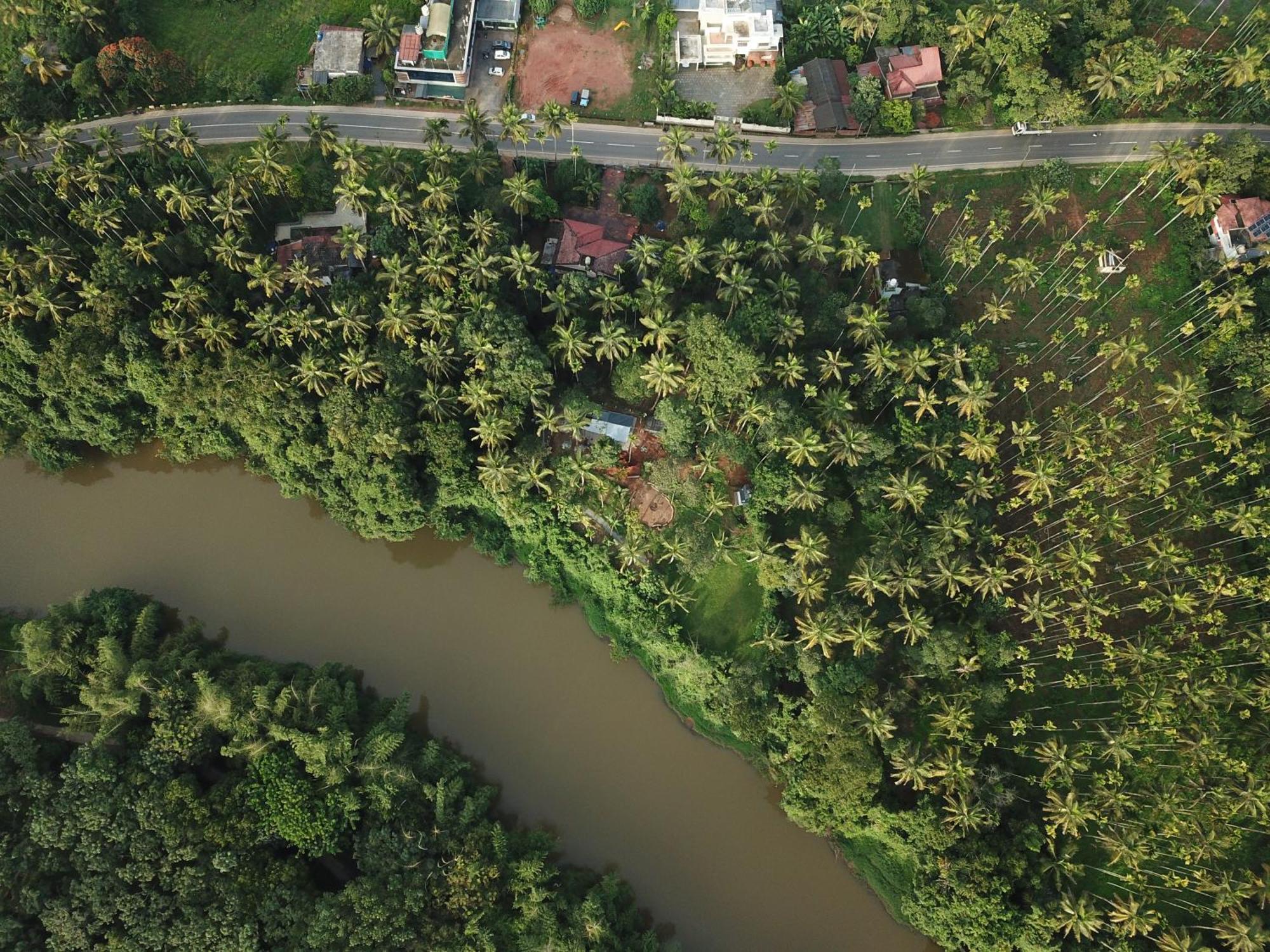 Paddyfield Inn Mananthavady Dış mekan fotoğraf