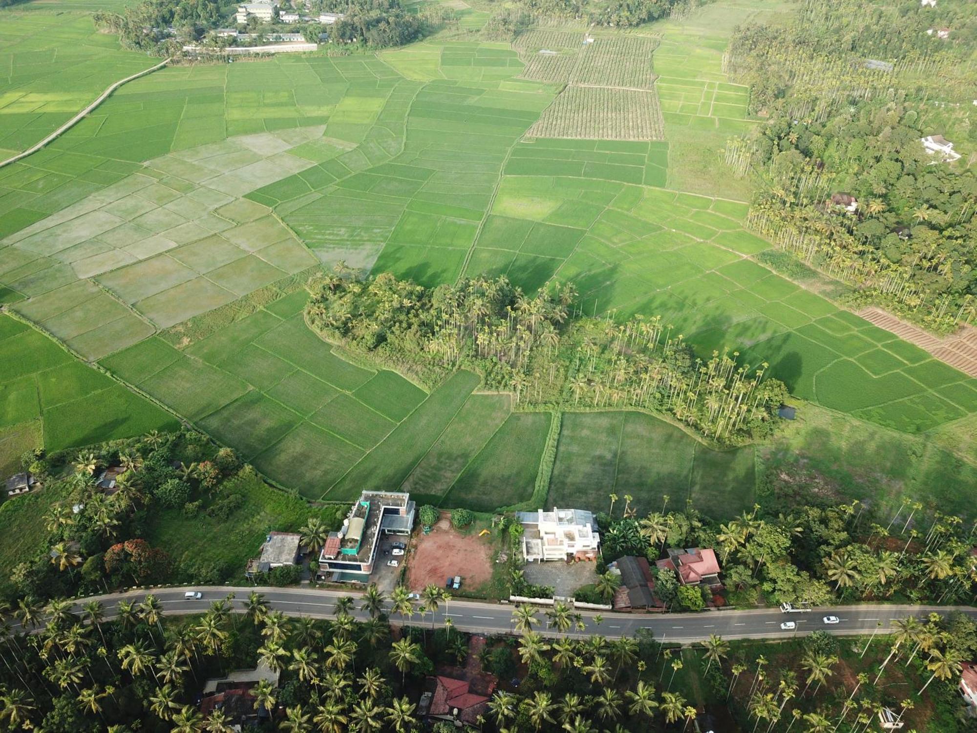 Paddyfield Inn Mananthavady Dış mekan fotoğraf