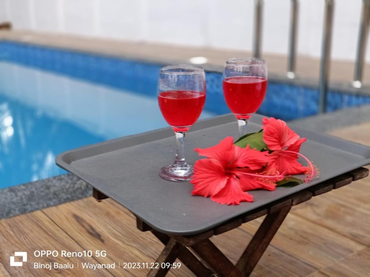 Paddyfield Inn Mananthavady Dış mekan fotoğraf