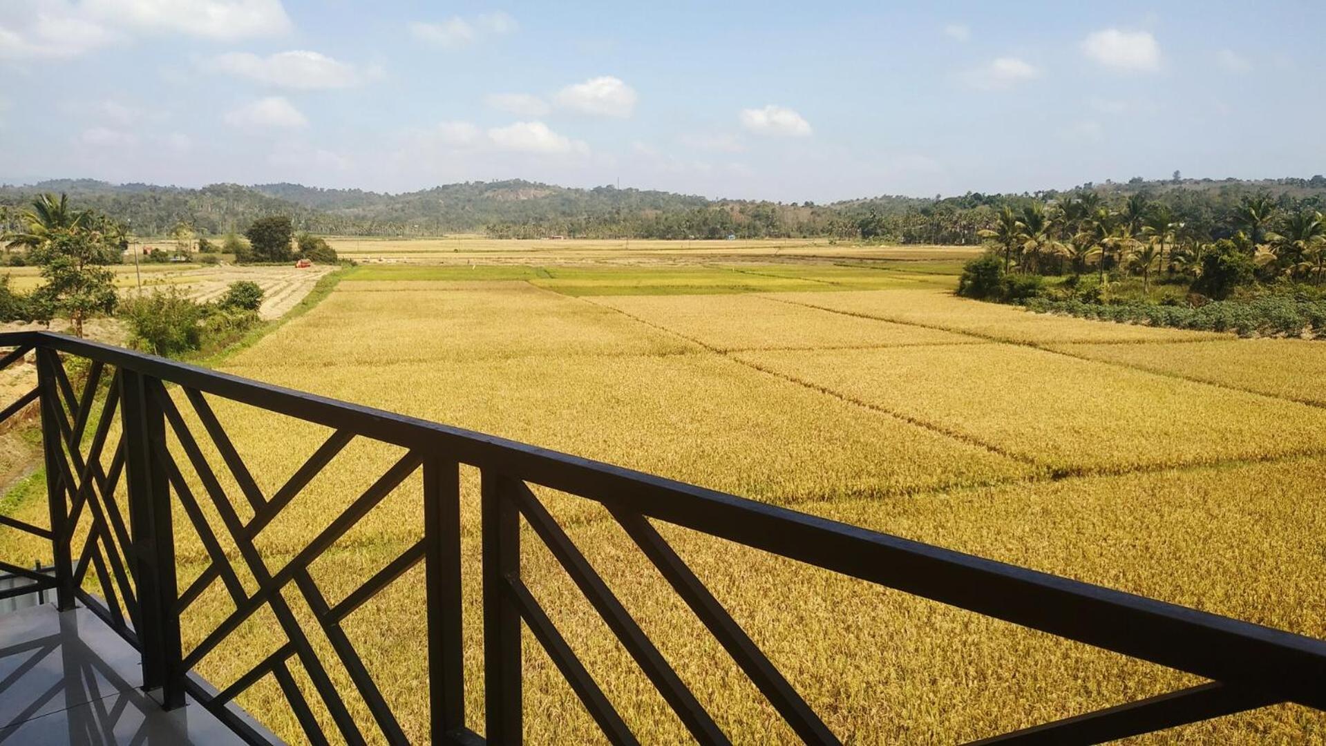 Paddyfield Inn Mananthavady Dış mekan fotoğraf