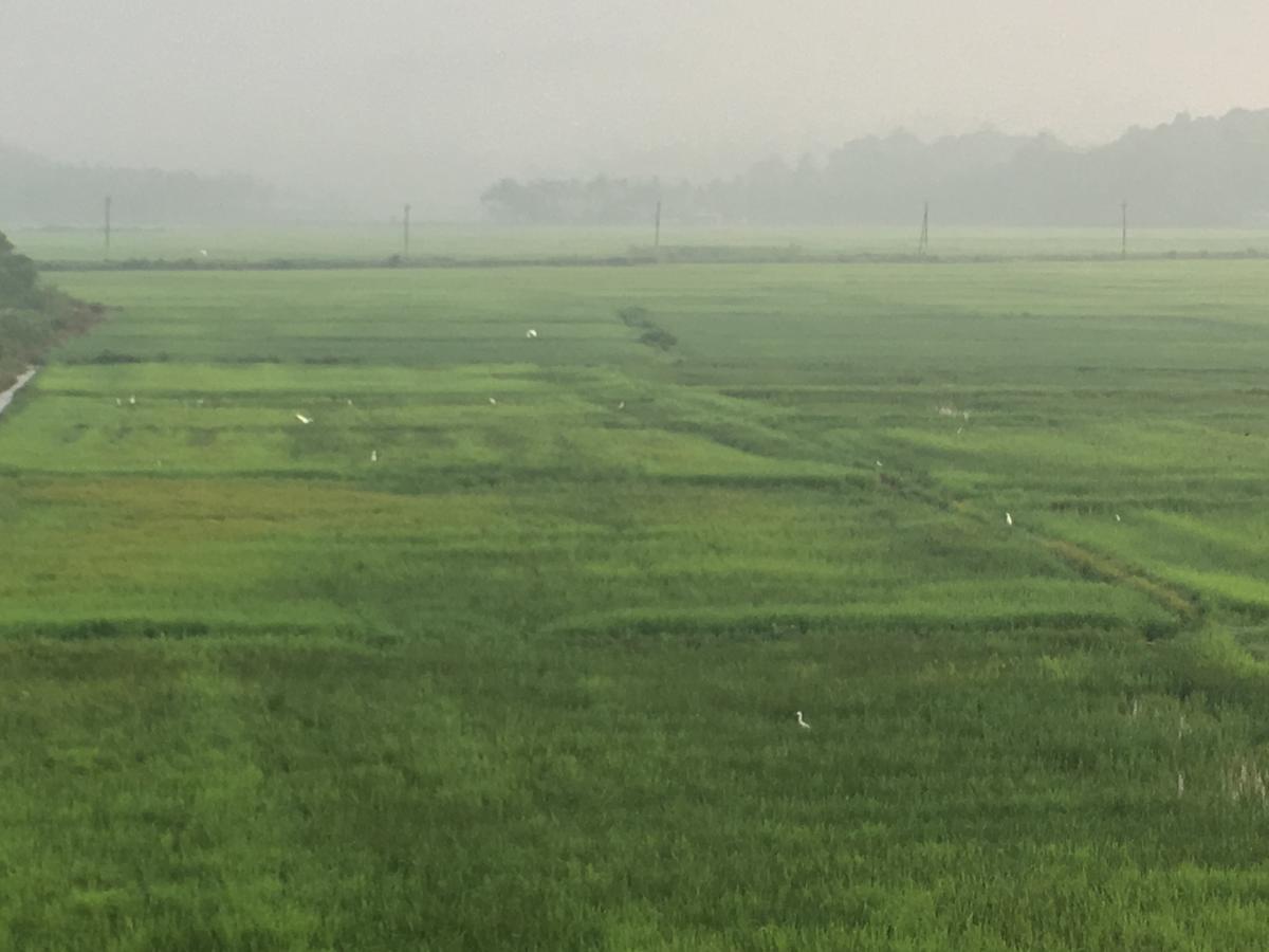 Paddyfield Inn Mananthavady Dış mekan fotoğraf
